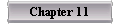  Chapter 11 