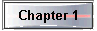  Chapter 1 